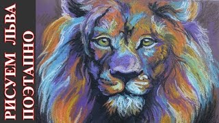 ПОЭТАПНЫЙ МАСТЕР-КЛАСС ПО ПАСТЕЛИ: КАК РИСОВАТЬ ЛЬВА