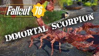 Fallout 76 - Hentai Tree and the Immortal Scorpion (Gameplay)