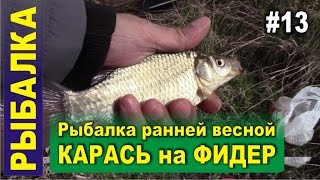 Ловля карася на фидер (пикер) ранней весной по холодной воде