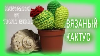 ВЯЗАНИЕ КРЮЧКОМ - КАКТУС || Crochet cactus