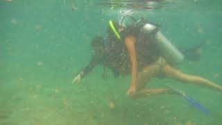 CLASE PRACTICA CURSO DE BUCEO INICIACION PADI DISCOVER SCUBA DIVING