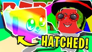 NOOB IN DISGUISE *HATCHES* SECRET RAINBOW DOGCAT PET IN ROBLOX BUBBLEGUM SIMULATOR!! [UPDATE 28]