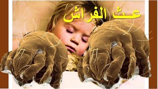 آلاف من هذه الحشرة تنام معنا كل ليلة فى الفراش للدكتور أبومدين