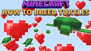 Minecraft 1.13 How To Breed Turtles! & Other Things I Missed From Snapshot 18w07a