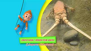 SI OTAN | LIBURAN BARENG LOBSTER MONSTER (11/05/18) 1-3
