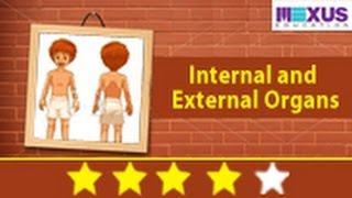 Science Lesson: Learn about Internal and External Organs
