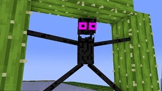 Monster School : FUN RACE 3D Challenge ALL EPISODE SEASON - Minecraft Animation