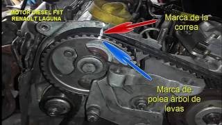 PUESTA A PUNTO DISTRIBUCION  RENAULT LAGUNA MOTOR DIESEL F8T