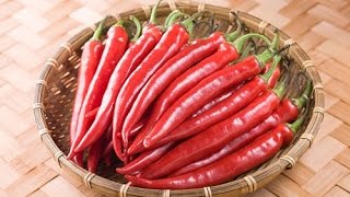 Tự Làm Ớt Bột
