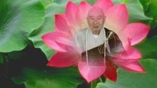 THÁI THƯỢNG CẢM ỨNG THIÊN LÃO PHÁP SƯ TỊNH KHÔNG CHỦ GIẢNG TẬP 8