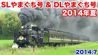 【2014年夏 SLやまぐち号 & DLやまぐち号 山口線に帰ってきた貴婦人C571号機】