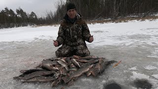 ВОТ И ПОКОРЁН ПЕРВЫЙ ЛЁД 2019-2020! Крутое открытие зимней рыбалки! Ловля щуки  по перволёдке!