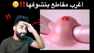 أغرب مقاطع بتشوفها بحياتك! #ناز_رياكشن