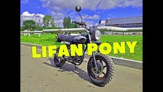 Обзор мотоцикла Лифан Пони 100. Мотоцикл Lifan Pony 100 cc