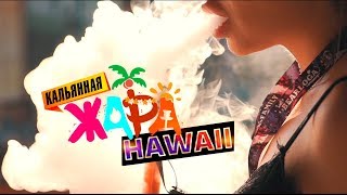 КАЛЬЯННАЯ ЖАРА 2019 В КИЕВЕ - ГАВАЙСКАЯ ВЕЧЕРИНКА