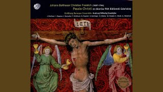 Passio Christi: Act IV: Aria: O Pein, o Schmerz, mein Hell erblasset (Glaubige Seele S1)