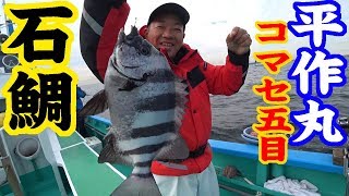 【久里浜沖】コマセ五目釣り　平作丸