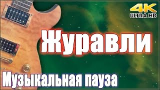 2015-11-09 Музыкальная пауза. «Журавли» (4K)