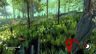 The Forest Адские приключения в лесу "Симулятор астматика дровосека"