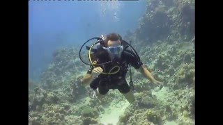 Мой первый дайвинг. Погружение в Красном Море + фотки.