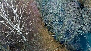 Березинский заповедник - река Березина | Film Studio Aves