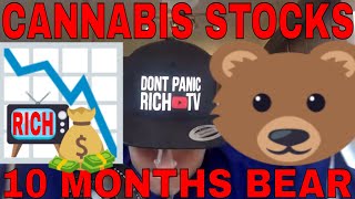 Cannabis Stocks Crash 10 months straight! Now What?