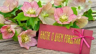 Анастасия, с Днем Рождения! Красивое Видео Поздравления с Днем Рождения для Анастасии