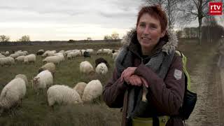 Celtic Fields | Roeg 18 januari 2020