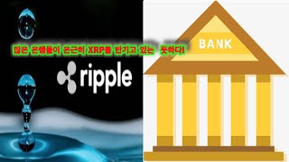 리플XRP만))많은 은행들이 은근히 XRP를 반기고 있는 듯 하다!