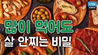 많이 먹어도 살 안찌는 비밀 / YTN 사이언스