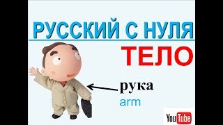 Русский с нуля. Части тела на русском для иностранцев. ТЕЛО. russian language lessons