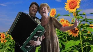 Ивушки, вы ивушки ♥ Очень КРАСИВАЯ песня под баян! ♥ застольные песни под гармонь  Играй гармонь