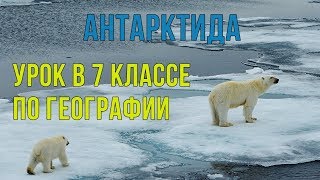 Антарктида. Открытый урок географии 7 класс с ЭФУ #31