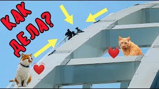Крымский мост(апрель 2019) Весь мост от Крыма до Тамани на Ж/Д АРКЕ идут работы ВАЖНЫЕ новости