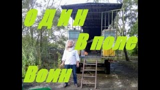 Качаем Акациевый мёд в полевых условиях.Сотовый мёд.Один на 56 пчела семей,60 отводков на подсолнух