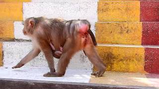 So Pity Mama Julla Look Like Not Yet Removed Placenta After Gave A Birth Baby Jutta 7 Days Old