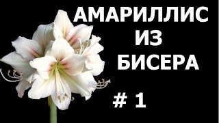 Бисероплетение (Амариллис 1 ч.) Мастер-класс