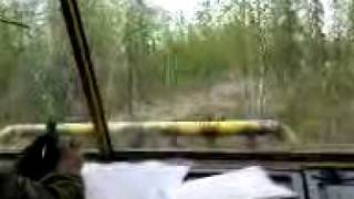 Поездка на вездеходе по тайге