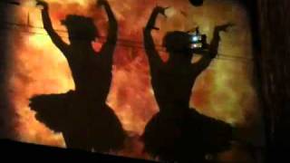 Igor Stravinsky Firebird