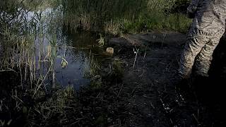 Рыбалка в Ростове на Дону. р.Мертвый Донец
