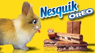 Кролик БАФФИ и OREO NESQUIK! Как сделать своими руками ОРЕО НЕСКВИК?