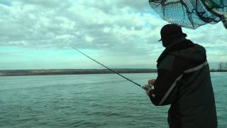 VIGOR 540 (A) Bow Rider