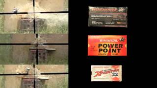 .22LR, .22WMR, .17HMR, .22 hornet comparison - BULLET RACES