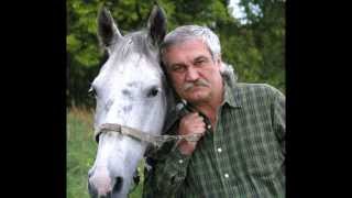 Василь Шкляр "Чорний ворон"