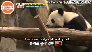 Yoo Jae Suk vs Panda