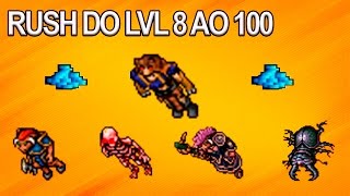 Tibia - Upando do lvl 8 ao 100 (Rush lvl)