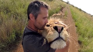 Meet The KINGS!!! | The Lion Whisperer