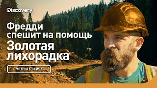 Фредди спешит на помощь | Золотая лихорадка | Discovery