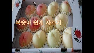 복숭아 쉽게 자르기