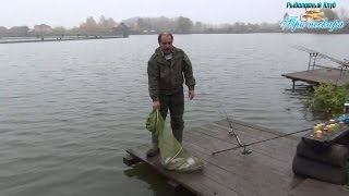 Рыболовный клуб "Три Пескаря" Водоём в Лыткино. Ловля форели 8-9 Октября.